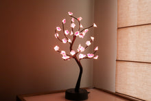 Load image into Gallery viewer, Blossom