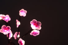Load image into Gallery viewer, Blossom
