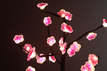 Load image into Gallery viewer, Blossom