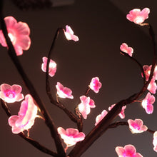 Load image into Gallery viewer, Blossom