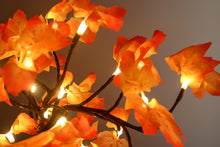 Load image into Gallery viewer, Maple